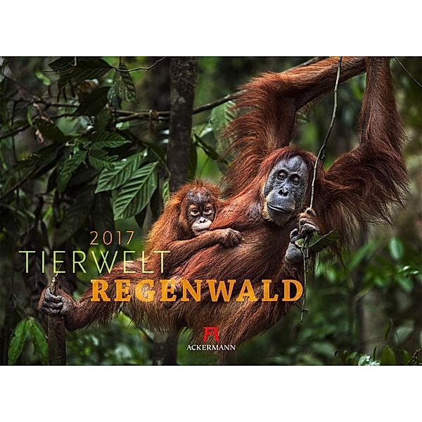 Tierwelt Regenwald 2017