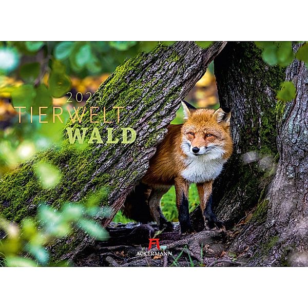 Tierwelt Wald Kalender 2023, Ackermann Kunstverlag