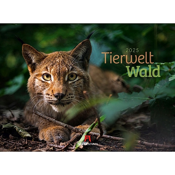 Tierwelt Wald Kalender 2025, Ackermann Kunstverlag
