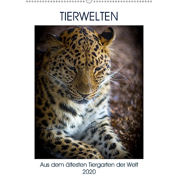 Tierwelten - aus dem ältesten Tiergarten der Welt (Wandkalender 2020 DIN A2 hoch), Gernot Unfried