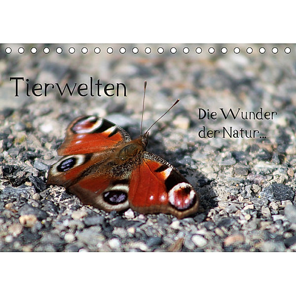 Tierwelten - Die Wunder der Natur (Tischkalender 2019 DIN A5 quer), lajavi. com