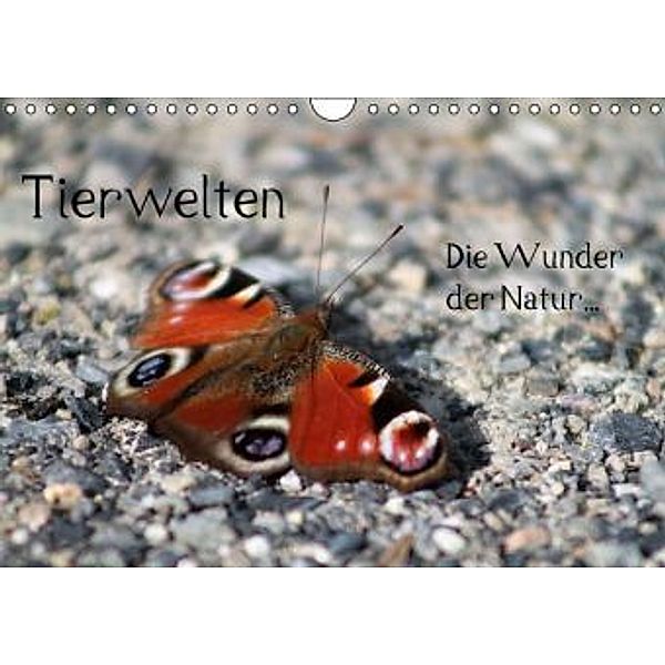 Tierwelten - Die Wunder der Natur (Wandkalender 2016 DIN A4 quer), lajavi.com