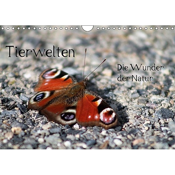 Tierwelten - Die Wunder der Natur (Wandkalender 2017 DIN A4 quer), k.A. lajavi.com