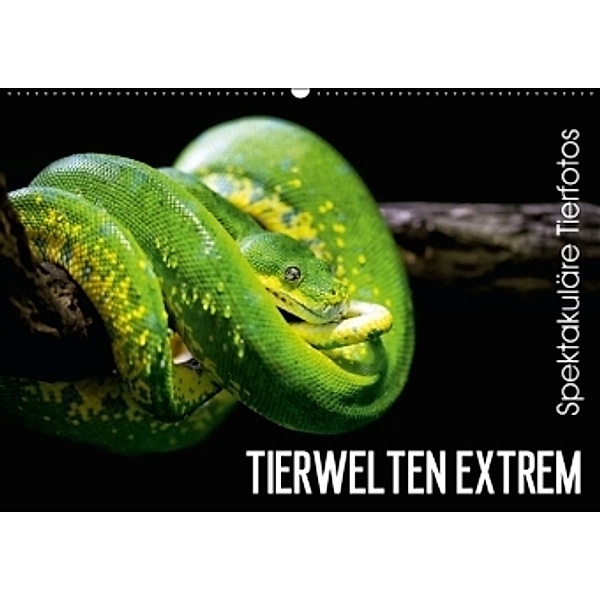 Tierwelten Extrem - Spektakuläre Tierfotos (Wandkalender 2015 DIN A2 quer), Christian Colista