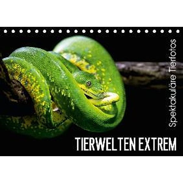 Tierwelten Extrem - Spektakuläre Tierfotos (Tischkalender 2016 DIN A5 quer), Christian Colista
