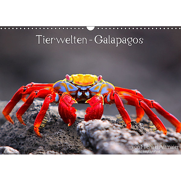 Tierwelten - Galapagos (Wandkalender 2019 DIN A3 quer), Michael Altmaier