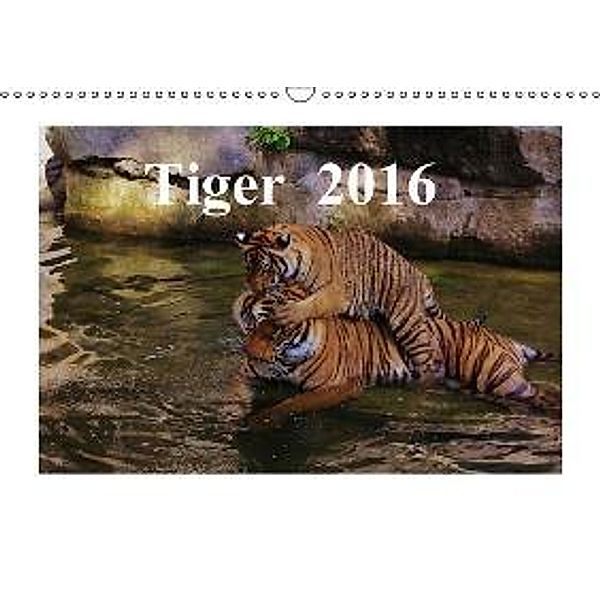 Tiger 2016 (Wandkalender 2016 DIN A3 quer), Jörg Hennig