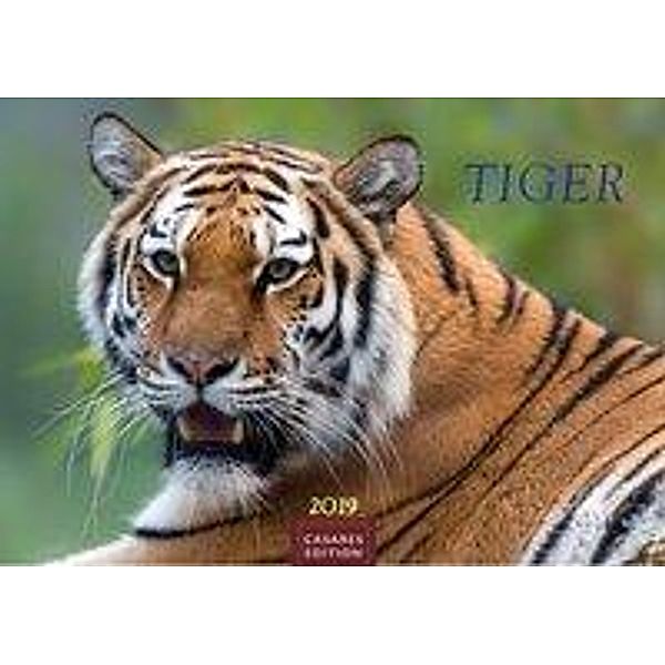 Tiger 2019