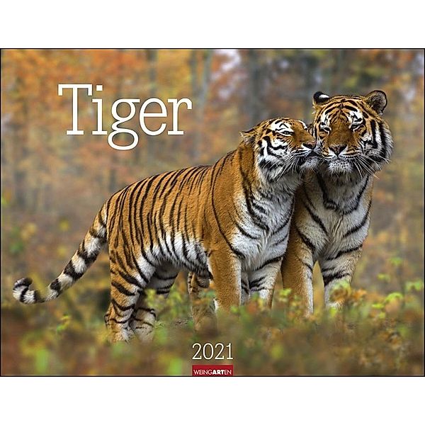 Tiger 2021