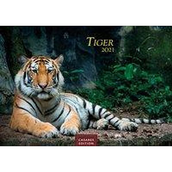 Tiger 2021 L