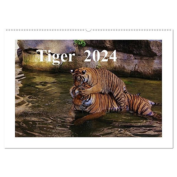 Tiger 2024 (Wandkalender 2024 DIN A2 quer), CALVENDO Monatskalender, Jörg Hennig