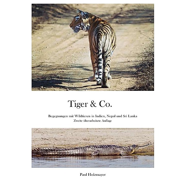 Tiger & Co., Paul Holzmayer