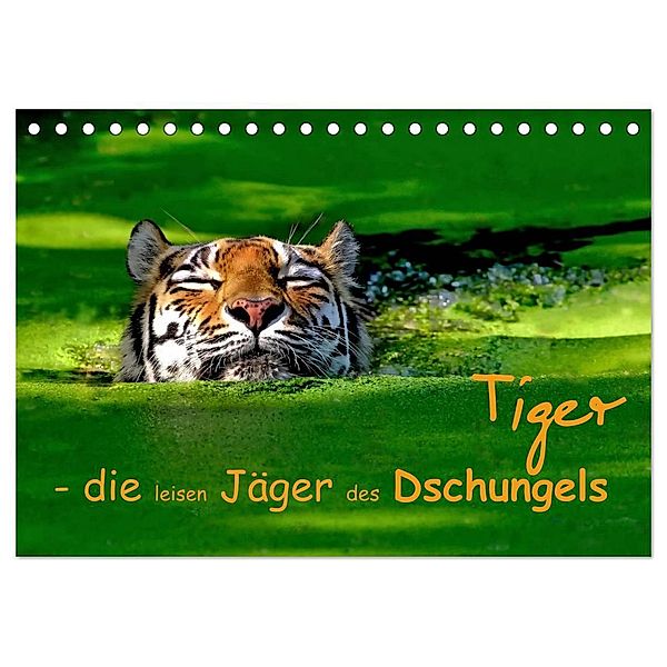 Tiger - die leisen Jäger des Dschungels (Tischkalender 2024 DIN A5 quer), CALVENDO Monatskalender, Elke Krone