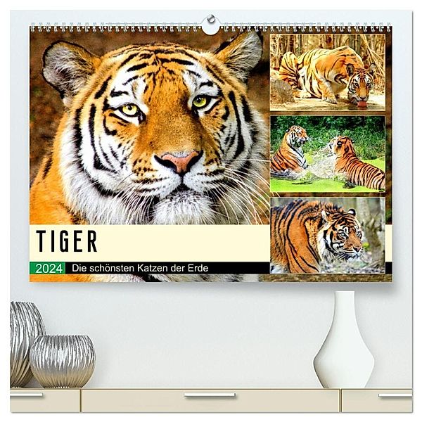 Tiger. Die schönsten Katzen der Erde (hochwertiger Premium Wandkalender 2024 DIN A2 quer), Kunstdruck in Hochglanz, Rose Hurley