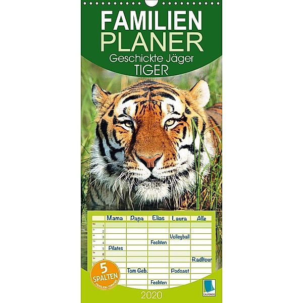 Tiger: Geschickte Jäger (Wandkalender 2020 , 21 cm x 45 cm, hoch)