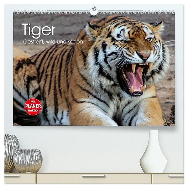 Tiger. Gestreift, wild und schön (hochwertiger Premium Wandkalender 2025 DIN A2 quer), Kunstdruck in Hochglanz, Calvendo, Elisabeth Stanzer