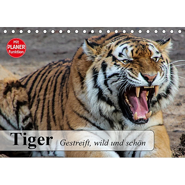 Tiger. Gestreift, wild und schön (Tischkalender 2019 DIN A5 quer), Elisabeth Stanzer