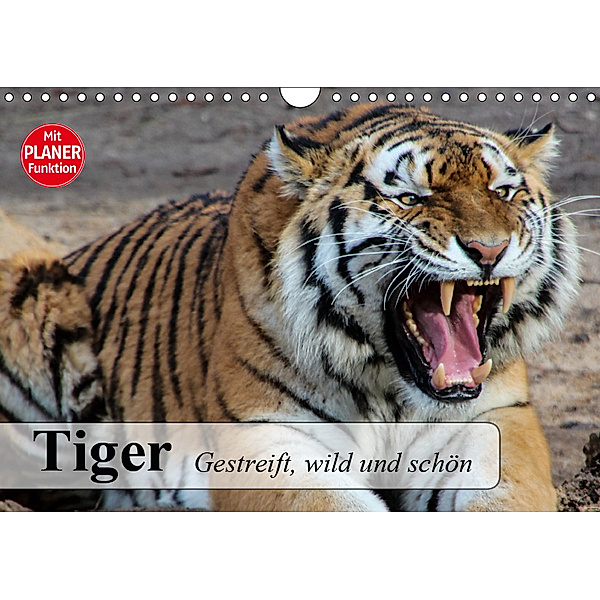 Tiger. Gestreift, wild und schön (Wandkalender 2019 DIN A4 quer), Elisabeth Stanzer