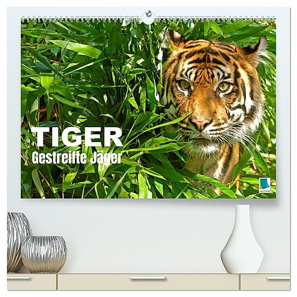 Tiger: Gestreifte Jäger (hochwertiger Premium Wandkalender 2025 DIN A2 quer), Kunstdruck in Hochglanz, Calvendo