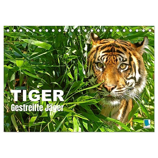 Tiger: Gestreifte Jäger (Tischkalender 2025 DIN A5 quer), CALVENDO Monatskalender, Calvendo