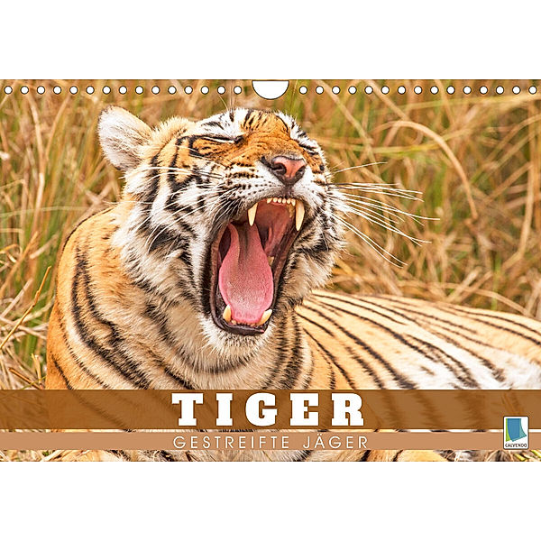 Tiger: Gestreifte Jäger (Wandkalender 2023 DIN A4 quer), Calvendo
