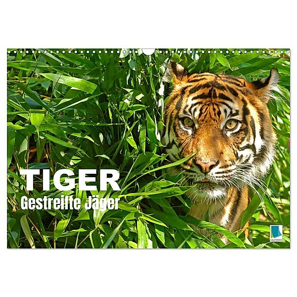 Tiger: Gestreifte Jäger (Wandkalender 2025 DIN A3 quer), CALVENDO Monatskalender, Calvendo