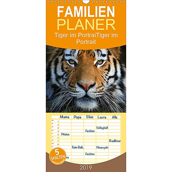 Tiger im Portrait - Familienplaner hoch (Wandkalender 2019 , 21 cm x 45 cm, hoch), Elke Krone