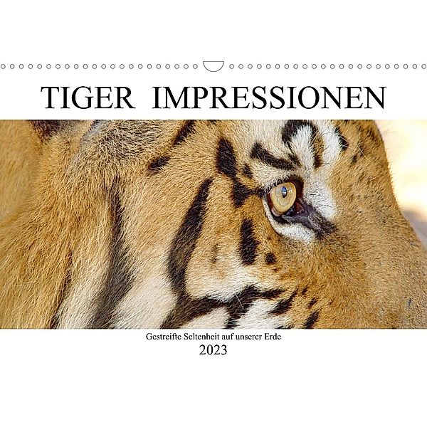 TIGER IMPRESSIONEN Gestreifte Seltenheit auf unserer Erde (Wandkalender 2023 DIN A3 quer), Barbara Fraatz