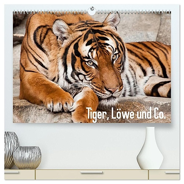 Tiger, Löwe und Co. (hochwertiger Premium Wandkalender 2024 DIN A2 quer), Kunstdruck in Hochglanz, Sylke Enderlein - Bethari Bengals