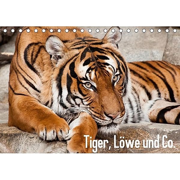 Tiger, Löwe und Co. (Tischkalender 2017 DIN A5 quer), Sylke Enderlein - Bethari Bengals