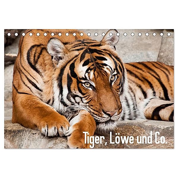 Tiger, Löwe und Co. (Tischkalender 2024 DIN A5 quer), CALVENDO Monatskalender, Sylke Enderlein - Bethari Bengals