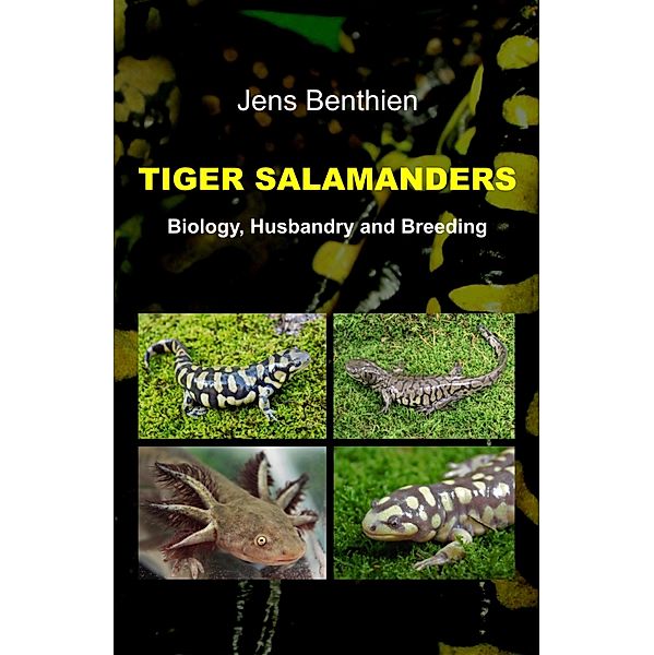 Tiger Salamanders, Jens Benthien