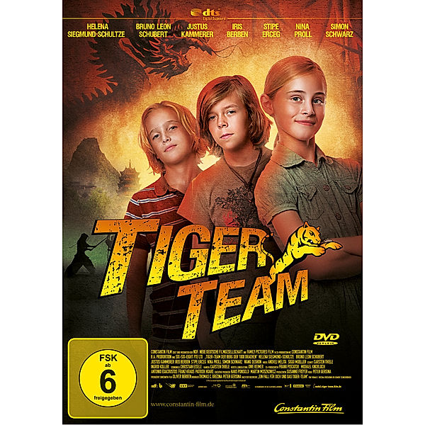 Tiger Team, Keine Informationen