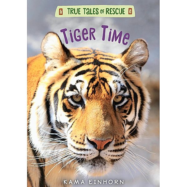 Tiger Time / Clarion Books, Kama Einhorn