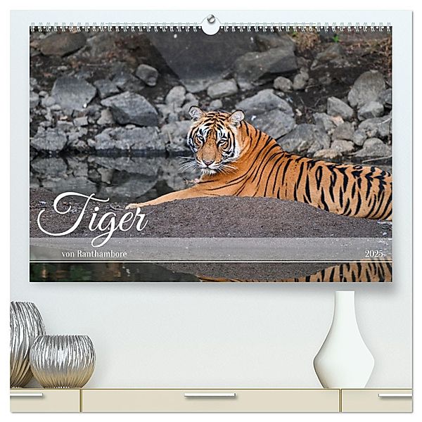 Tiger von Ranthambore (hochwertiger Premium Wandkalender 2025 DIN A2 quer), Kunstdruck in Hochglanz, Calvendo, Robert Styppa