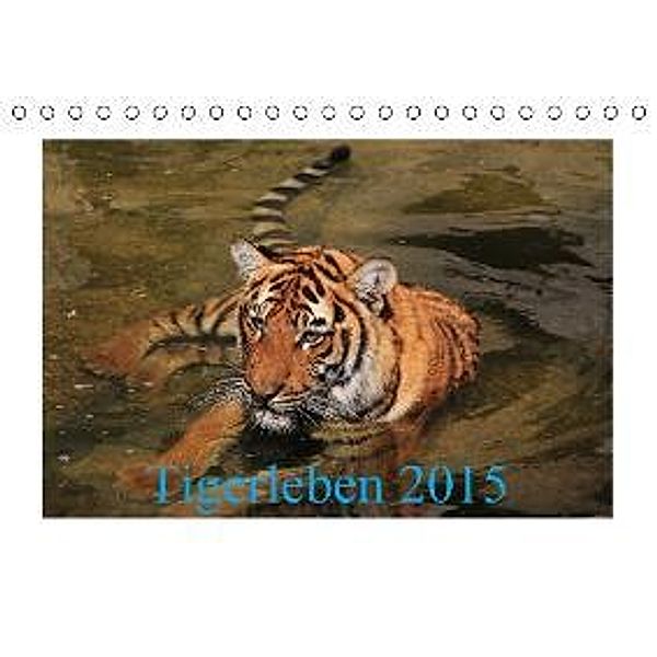 Tigerleben 2015 (Tischkalender 2015 DIN A5 quer), Jörg Hennig