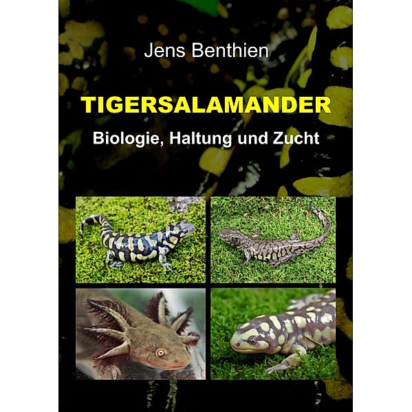Tigersalamander, Jens Benthien