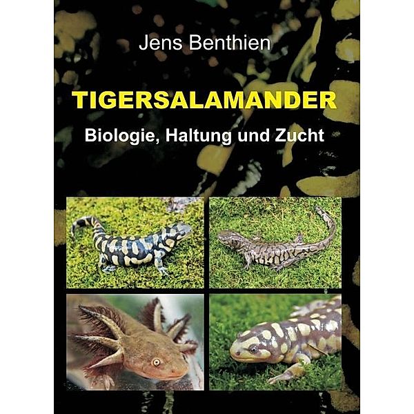 Tigersalamander, Jens Benthien