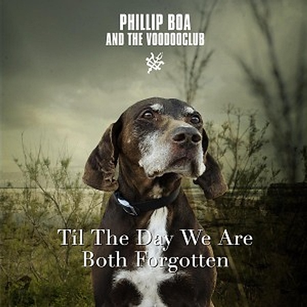 Til The Day We Are Both Forgotten, Phillip & The Voodooclub Boa
