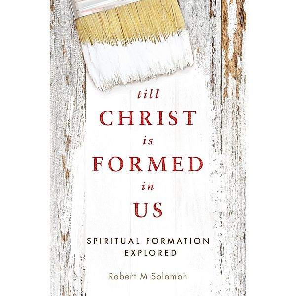 Till Christ Is Formed in Us, Robert M Solomon