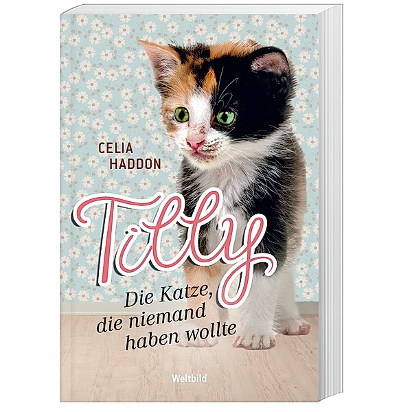 Tilly - Die Katze, die niemand haben wollte, Celia Haddon