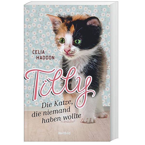 Tilly-Die Katze, die niemand haben wollte, Celia Haddon