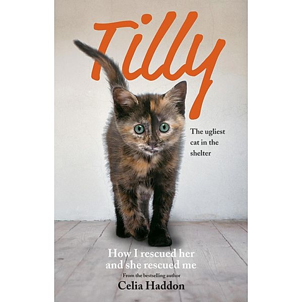 Tilly: The Ugliest Cat, Celia Haddon