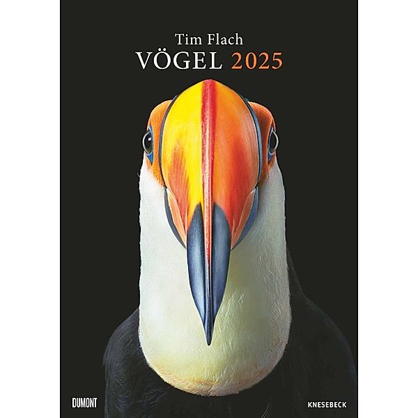 Tim Flach: Vögel 2025 - Posterkalender von DUMONT- Vogel-Porträts von Tim Flach - Poster-Format 50 x 70 cm
