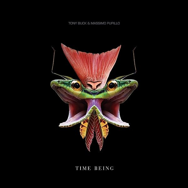 Time Being (Vinyl), Tony Buck & Pupillo Massimo