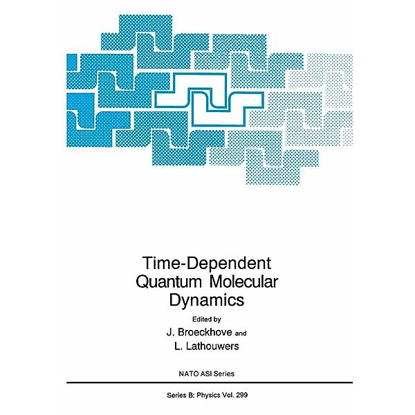 Time-Dependent Quantum Molecular Dynamics / NATO Science Series B: Bd.299