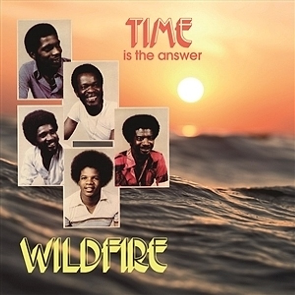 Time Is The Answer (Vinyl), Wildfire