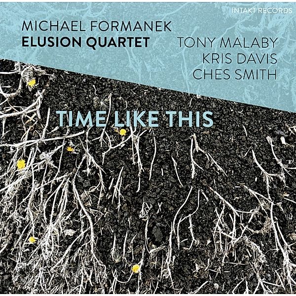 Time Like This, Michael Formanek, Elusion Quartet