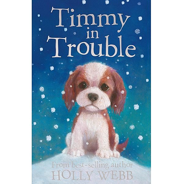 Timmy in Trouble, Holly Webb