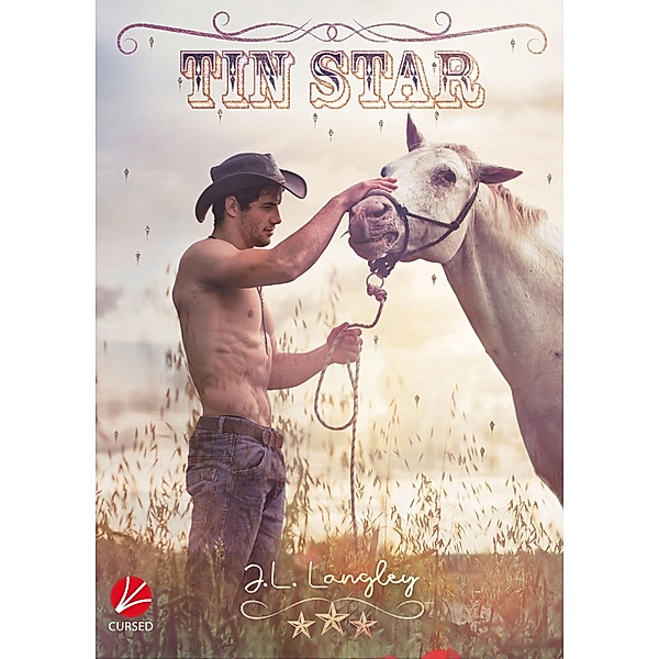 Tin Star / Texas Ranches Bd.1, J. L. Langley